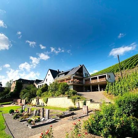 Chateau-De-La-Moselle Kinheim Dış mekan fotoğraf
