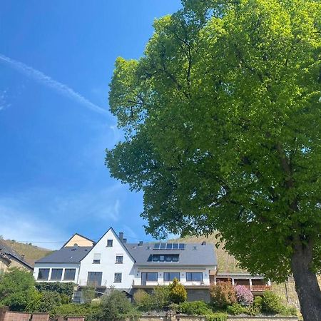 Chateau-De-La-Moselle Kinheim Dış mekan fotoğraf