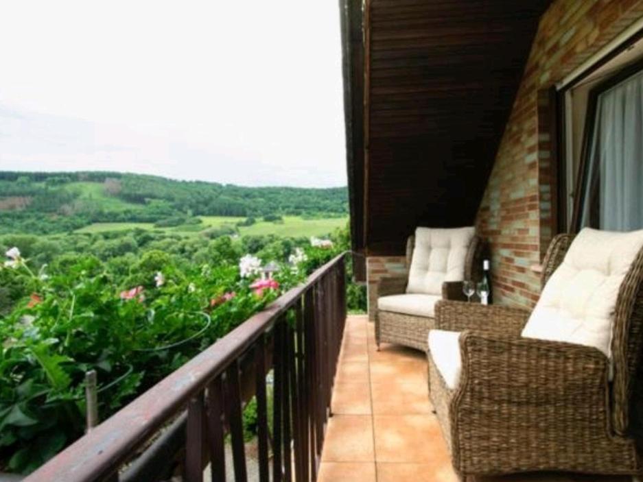 Chateau-De-La-Moselle Kinheim Dış mekan fotoğraf