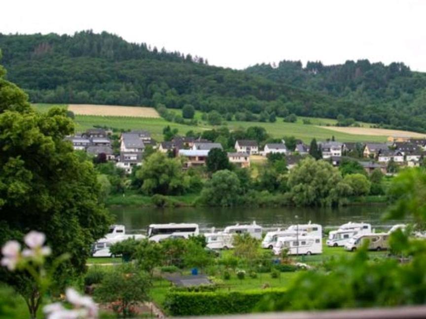 Chateau-De-La-Moselle Kinheim Dış mekan fotoğraf