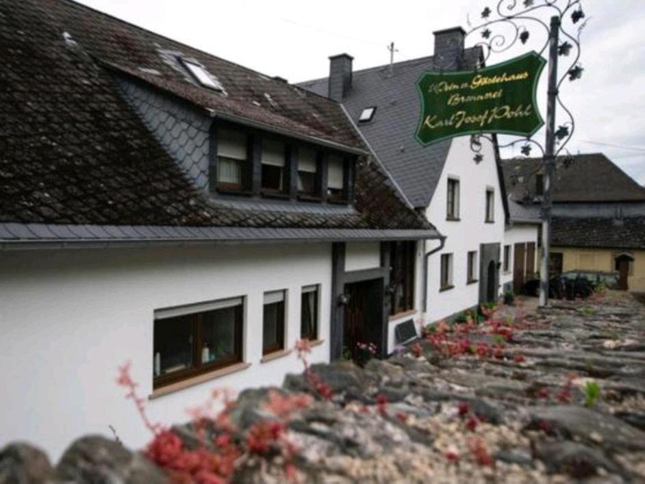 Chateau-De-La-Moselle Kinheim Dış mekan fotoğraf