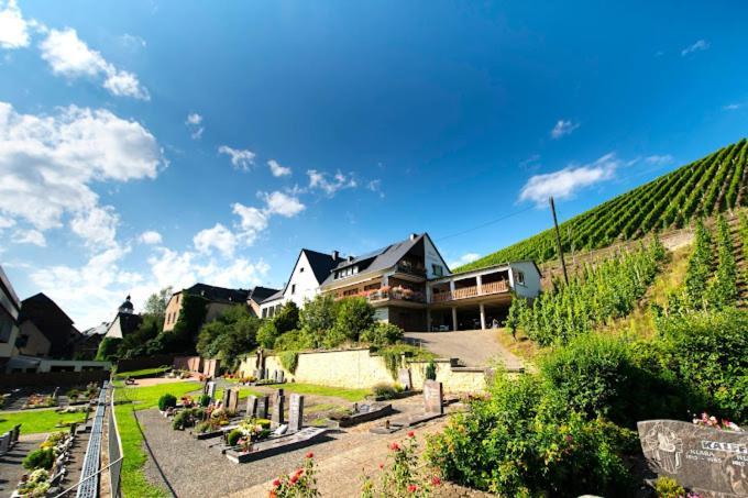 Chateau-De-La-Moselle Kinheim Dış mekan fotoğraf