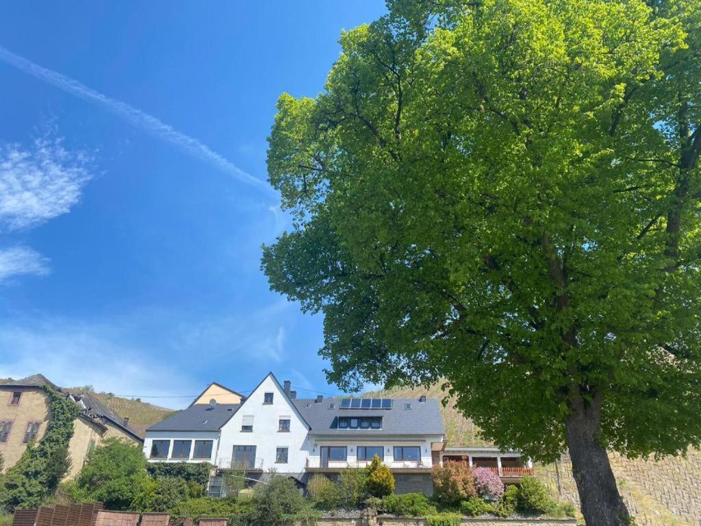 Chateau-De-La-Moselle Kinheim Dış mekan fotoğraf